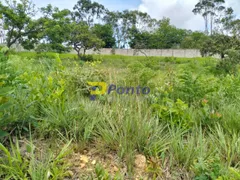 Terreno / Lote / Condomínio à venda, 1000m² no Condominio Terra Vista, Lagoa Santa - Foto 7