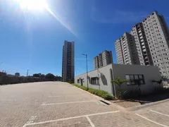 Apartamento com 2 Quartos para alugar, 50m² no Residencial Cambuy, Araraquara - Foto 4
