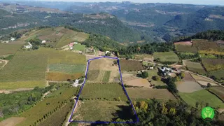 Fazenda / Sítio / Chácara à venda, 35000m² no Zona Rural, Santa Tereza - Foto 7