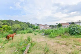 Terreno / Lote / Condomínio à venda, 4357m² no Jardim Apucarana, Almirante Tamandaré - Foto 10