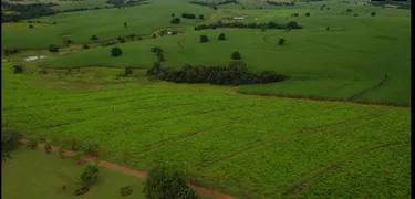 Fazenda / Sítio / Chácara com 2 Quartos à venda, 65m² no Zona Rural, Quadra - Foto 35