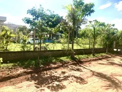 Fazenda / Sítio / Chácara com 3 Quartos à venda, 2000m² no Setor Central , Bela Vista de Goiás - Foto 6