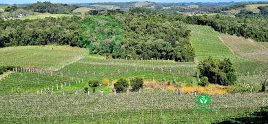 Fazenda / Sítio / Chácara à venda, 95000m² no Zona Rural, Monte Belo do Sul - Foto 14