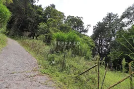 Terreno / Lote / Condomínio à venda, 3000m² no Cascata dos Amores, Teresópolis - Foto 10