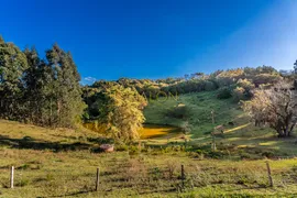 Fazenda / Sítio / Chácara com 6 Quartos à venda, 33900m² no Capela Velha, Araucária - Foto 20