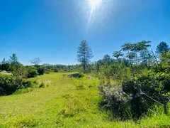 Terreno / Lote / Condomínio à venda, 28000m² no Campestre, Piracicaba - Foto 37