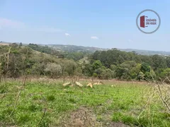 Terreno / Lote / Condomínio à venda, 15000m² no Taboão, São Roque - Foto 34