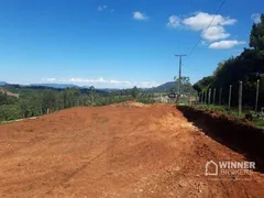 Fazenda / Sítio / Chácara à venda, 59000m² no , Tamarana - Foto 7