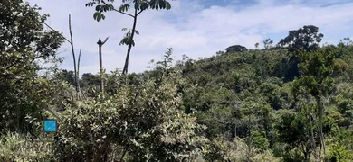 Fazenda / Sítio / Chácara à venda, 96000m² no Maracatú, Guararema - Foto 5