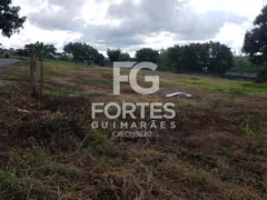 Terreno / Lote / Condomínio para alugar, 3087m² no VILA VIRGINIA, Ribeirão Preto - Foto 2