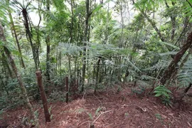 Terreno / Lote / Condomínio à venda, 3000m² no Cascata dos Amores, Teresópolis - Foto 3