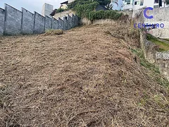 Terreno / Lote / Condomínio à venda no Quintas das Avenidas, Juiz de Fora - Foto 4