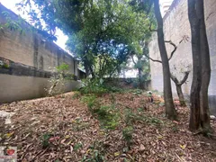 Terreno / Lote / Condomínio à venda, 300m² no Vila Mascote, São Paulo - Foto 8