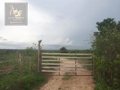 Fazenda / Sítio / Chácara com 3 Quartos à venda, 27000m² no Trairas, Macaíba - Foto 9