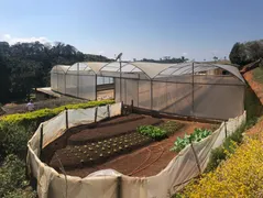 Fazenda / Sítio / Chácara à venda no Zona Rural, Ouro Fino - Foto 15