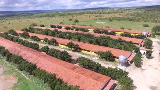 Fazenda / Sítio / Chácara com 3 Quartos à venda, 8m² no , Pocinhos - Foto 1