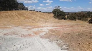 Fazenda / Sítio / Chácara com 1 Quarto à venda, 242000m² no Centro, Turvolândia - Foto 12