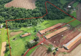 Fazenda / Sítio / Chácara à venda, 42000m² no Zona Rural, Cascavel - Foto 1
