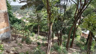 Terreno / Lote / Condomínio à venda, 1100m² no Nova Pampulha, Vespasiano - Foto 3