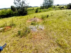 Terreno / Lote / Condomínio à venda no Estancia Grande, Viamão - Foto 14