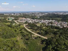 Terreno / Lote / Condomínio à venda, 1003m² no São Ciro, Caxias do Sul - Foto 4