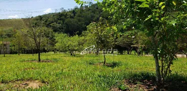 Fazenda / Sítio / Chácara com 4 Quartos à venda, 20000m² no Luiz Carlos, Guararema - Foto 16