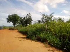 Fazenda / Sítio / Chácara com 3 Quartos à venda, 30000m² no Zona Rural, Glória do Goitá - Foto 14