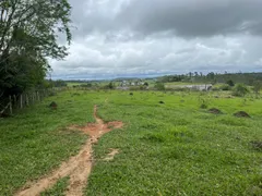 Terreno / Lote / Condomínio à venda, 1000m² no Centro, Guararema - Foto 4