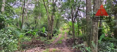 Fazenda / Sítio / Chácara com 3 Quartos à venda, 90m² no , José Bonifácio - Foto 16