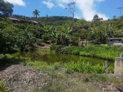 Fazenda / Sítio / Chácara com 4 Quartos à venda, 45000m² no Chacara Paraiso, Nova Friburgo - Foto 13