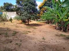 Fazenda / Sítio / Chácara com 3 Quartos à venda, 1000m² no Esmeraldas, Esmeraldas - Foto 3