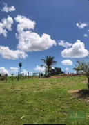 Fazenda / Sítio / Chácara à venda, 20000m² no Zona Rural, Mirassolândia - Foto 10