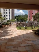 Apartamento com 3 Quartos à venda, 83m² no Jardim Bonfiglioli, São Paulo - Foto 13