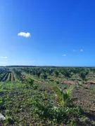 Fazenda / Sítio / Chácara com 2 Quartos à venda, 50m² no Zona Rural, Touros - Foto 25