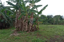 Fazenda / Sítio / Chácara com 1 Quarto à venda, 2000m² no Paraíso da Cachoeira, Mogi Mirim - Foto 12