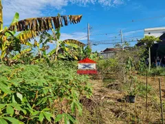 Terreno / Lote Comercial para alugar, 720m² no Narita Garden, Vargem Grande Paulista - Foto 7