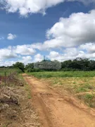 Fazenda / Sítio / Chácara com 2 Quartos à venda, 16000m² no Area Rural de Palmas, Palmas - Foto 29