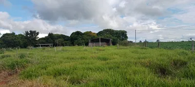 Fazenda / Sítio / Chácara com 2 Quartos à venda, 420000m² no Paranoá, Brasília - Foto 22