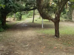 Fazenda / Sítio / Chácara com 3 Quartos à venda, 31000m² no Ilha de Guaratiba, Rio de Janeiro - Foto 6