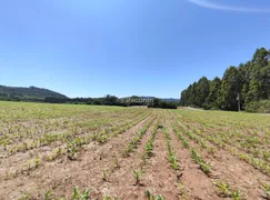Fazenda / Sítio / Chácara à venda, 22500m² no , Gramado - Foto 5