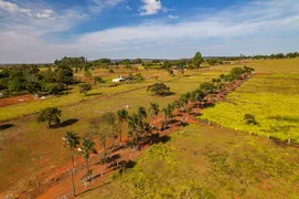 Fazenda / Sítio / Chácara com 3 Quartos à venda, 300m² no Zona Rural, Luziânia - Foto 19