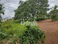 Terreno / Lote / Condomínio à venda, 600m² no Jardim Inconfidência, Uberlândia - Foto 7