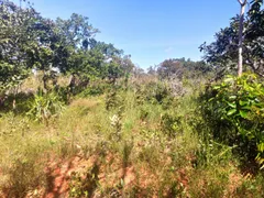 Terreno / Lote / Condomínio à venda, 2000m² no Planaltina, Brasília - Foto 15