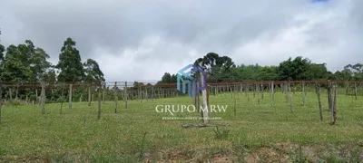 Fazenda / Sítio / Chácara com 3 Quartos à venda, 110m² no Zona Rural, Pilar do Sul - Foto 22