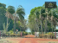 Fazenda / Sítio / Chácara à venda, 21000000m² no Zona Rural, Nossa Senhora do Livramento - Foto 22