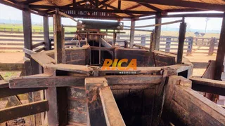 Fazenda / Sítio / Chácara com 2 Quartos à venda, 39370000m² no Vista Alegre do Abuna, Porto Velho - Foto 33