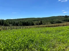 Fazenda / Sítio / Chácara com 2 Quartos à venda, 30000m² no Zona Rural, Campo Alegre - Foto 23