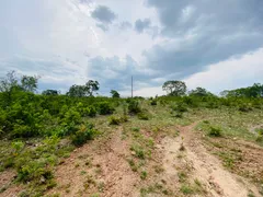 Fazenda / Sítio / Chácara com 4 Quartos à venda, 144000m² no Zona Rural, Faina - Foto 8