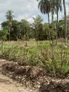 Fazenda / Sítio / Chácara à venda no Zona Rural, Heitoraí - Foto 10