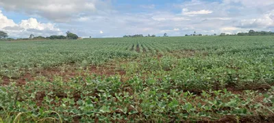 Fazenda / Sítio / Chácara com 2 Quartos à venda, 420000m² no Paranoá, Brasília - Foto 15